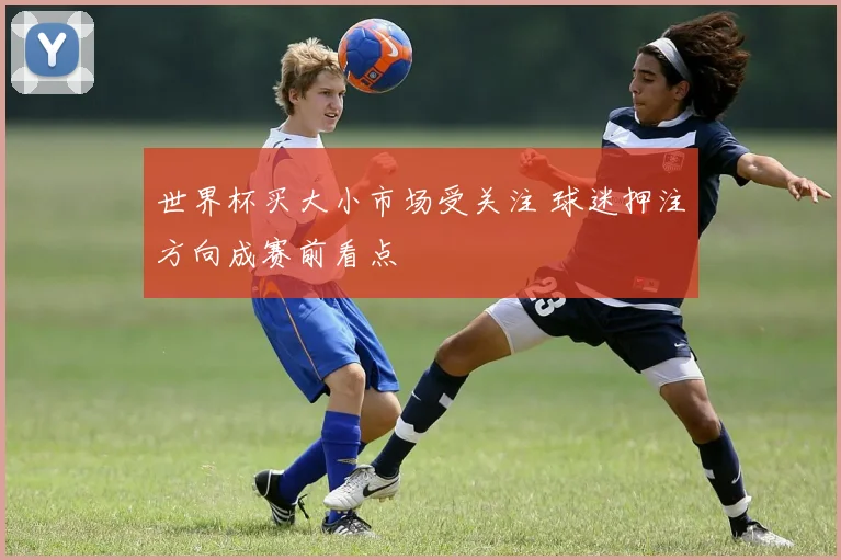 世界杯买大小市场受关注 球迷押注方向成赛前看点