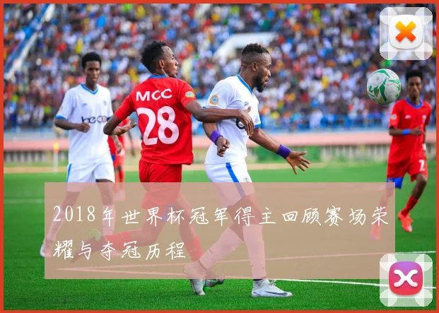 2018年世界杯冠军得主回顾赛场荣耀与夺冠历程