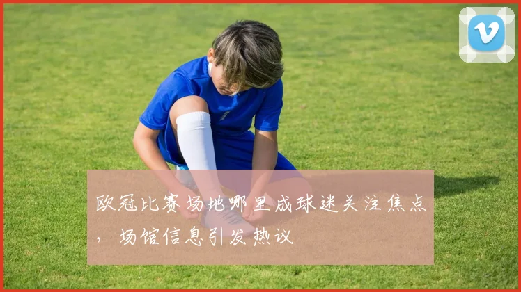 欧冠比赛场地哪里成球迷关注焦点,场馆信息引发热议